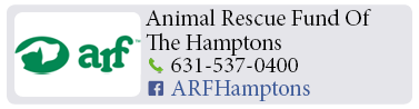 Adoption-Center-LI104