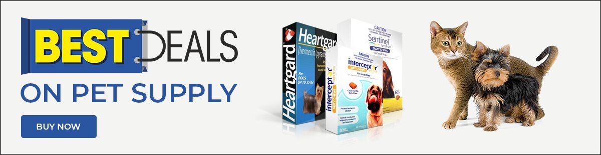 Best Deal on Pet Supply