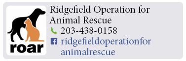 Adoption-Center-FF29