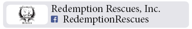 Adoption-Center-LI89
