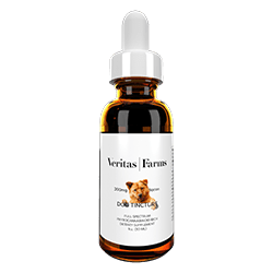 Cat or Dog Tincture