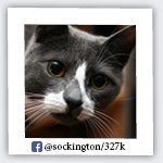 sockington
