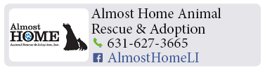 Adoption-Center-LI5