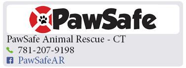 Adoption-Center-FF8