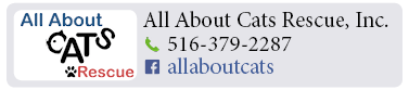 Adoption-Center-LI32