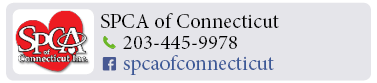Adoption-Center-WC36