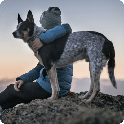 Maximizes Comfort With Pet Sleeping Near You