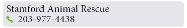 Adoption-Center-FF42