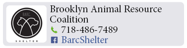 Adoption-Center-LI10