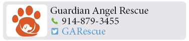 Adoption-Center-WC12