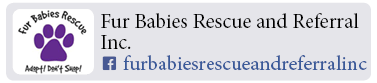 Adoption-Center-LI22