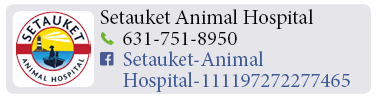 Adoption-Center-LI91