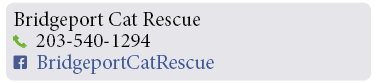 Adoption-Center-FF4