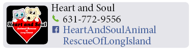 Adoption-Center-LI16