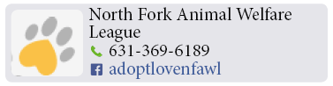 Adoption-Center-LI12