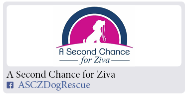 Adoption-Center-FF43