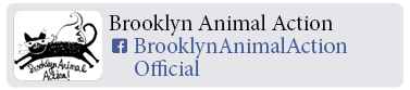 Adoption-Center-NYC83