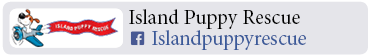 Adoption-Center-WC31
