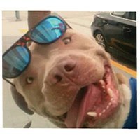 dogumantry