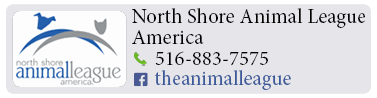 Adoption-Center-LI79
