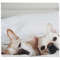 piggyandpolly