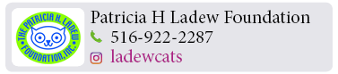 Adoption-Center-LI71