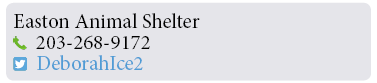 Adoption-Center-FF11