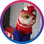 Waffles-the-Cat-150x150