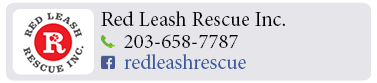 Adoption-Center-FF27
