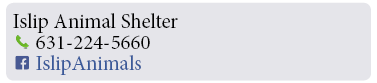 Adoption-Center-LI4