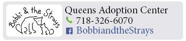 Adoption-Center-LI38