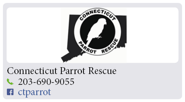 Adoption-Center-FF47