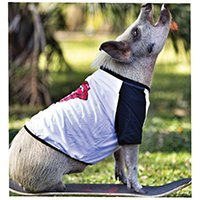 jamonthepig