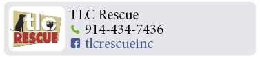 Adoption-Center-WC41