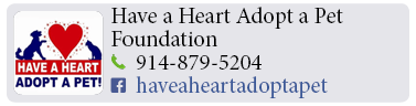 Adoption-Center-LI67