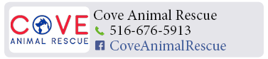 Adoption-Center-LI37