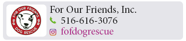 Adoption-Center-LI69