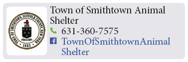 Adoption-Center-LI94