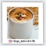 dogs_infood