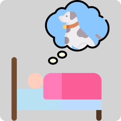 Maximizes Comfort With Pets