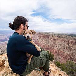 Dog-Photography