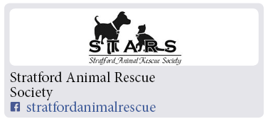 Adoption-Center-FF49