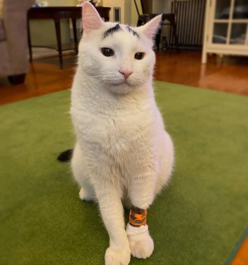 Sam
