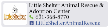 Adoption-Center-LI46