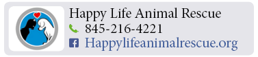 Adoption-Center-FF28