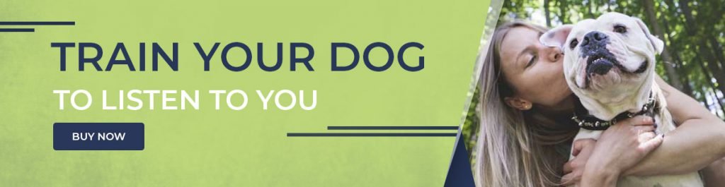 train-your-dog-to-listen-to-you-1