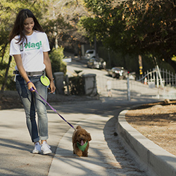 On-Demand Dog Walking App