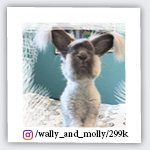 wally_and_molly