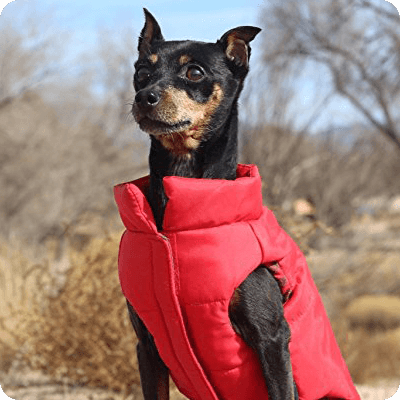 DJANGO Reversible Puffer Dog Coat