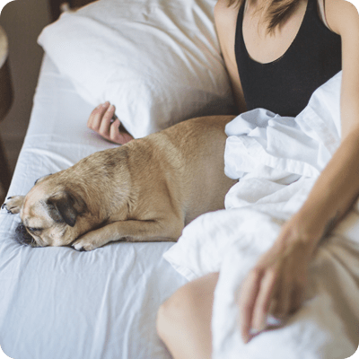 Improve Sleep Quality With Dog Sleeping Near You